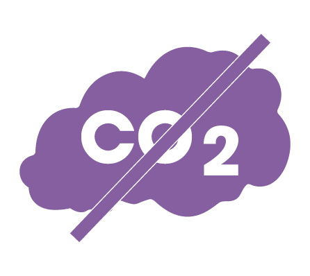 CO₂-Emissionen ausgleichen